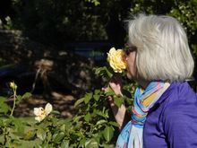  Sometimes you gotta smell the roses! 