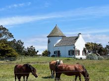 I love horses!
