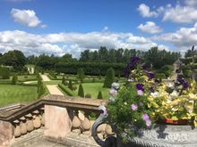 Garden at the Modern art museum 