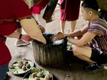 Making veggie balls to feed elephants
