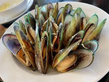 NZ mussels, one of its pride and joys