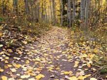 Smuggler’s Road area hiking, Aspen 