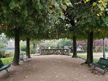 "The Square René Viviani offers one of the best views of the Cathedral of Notre Dame in all of Paris."