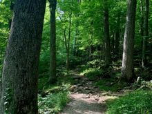 Love the lush greenery.