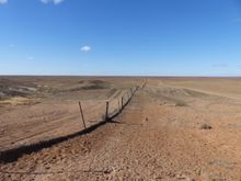 The dingo fence