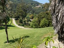 The lawn in front of the house