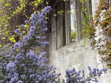 St Dunstan’s in the East