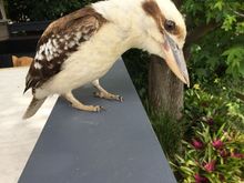 Something interesting down there.