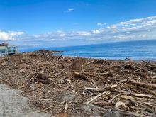 Lots of flotsam and jetsam on the beach in Albenga, with our little beach shack restaurant on the left. 