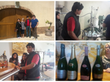 In the courtyard of the small winery.
We tasted 3 of their best collections and picked up one bottle.