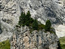 Walking around the base of the Sassolungo. We were fascinated by the small rocks with trees growing out of them.
