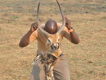 Naaw..won't make a good trophy