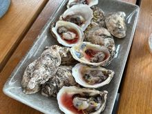 Oysters at the Sky Shed.