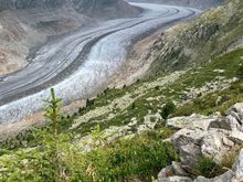 Longest glacier in the alps at 13 miles but receding quickly 