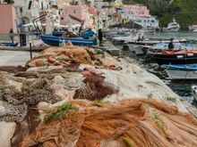 Children and cats played atop some piles of nets.
