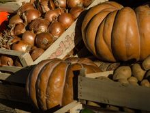 Zucca zucca zucca. A sort of soufflé is made from this vegetable, a dessert dish not to be missed.