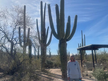 Saguaro National Park