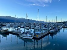 Serene Seward harbor before boarding our cruise 