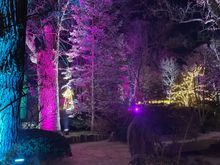 Beautiful but spooky. 