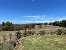Farm 
