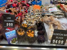 I looked up Morton Bay Bugs. They are not insects - they are crustaceans. 