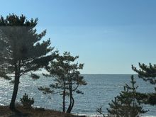 View from the retreat center window in Madison, CT. 