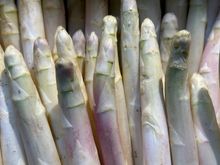 White asparagus, look at the shading!!  Like a painting!