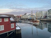 Early morning, 4:30am, looking out the window