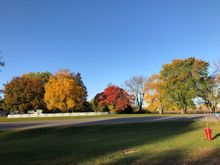 ordinary view looking west from my shop.
