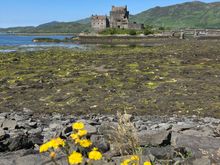 Eilean Donan