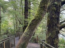 The boardwalk at Mirror Lakes
