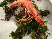 Two Denia prawns, another starter for me...