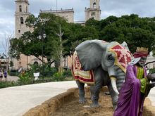 Traditional elephant at Christmas time.  Wait, elephants?  I don't remember them.