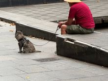 In Martin Place yesterday - 