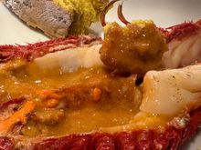 A Carabinero prawn..I used the turmeric break to sop up all of the delicious liquid in there inside cavity, which acted like a bowl....  For a seafood lover, these are heaven.