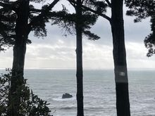 View from Lost Whale