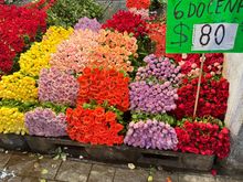 Roses in so many colors!