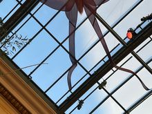 a butterfly that got lost in the rest of the display.