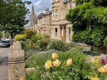 It's June and everything is blooming