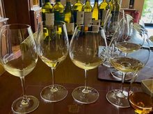 Tasting at Quinta das Carvalhas 