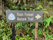 Highly recommend stopping here on your way north on Hwy 101.