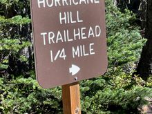 If you are like us, you may not get a parking space at the very top, come back to the picnic area and grab a spot then hike 1/4 mile to the start of the trail.