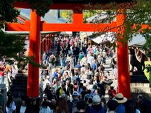 Just a little crowded…