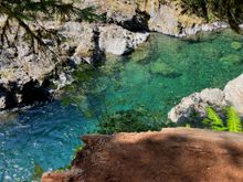 They hang around in this area, waiting to make an attempt at the falls.