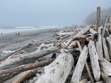 Always lots of logs.