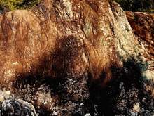 Mount Namsan (Western side), Gyeongju: Two Line-Carved Buddha Triads.