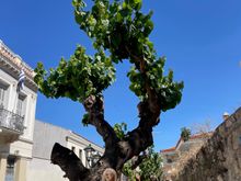 On our walk to Monastiraki