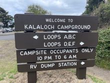 Quite a few campsites at this location.  All up on the bluff.