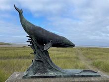 Small whale sculpture.  At one time there were some bones of beached whale, but we could only find a few in the grasss