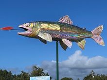 Big Salmon at the beginning of the marina.
